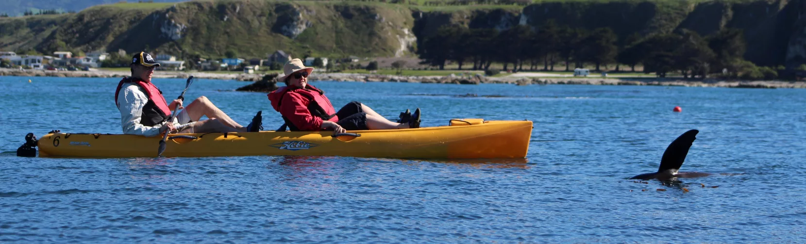 Couple in a Hobie kayak watching a New Zealand fur seal raise its flipper with the Kaikōura Seaward Ranges in the background