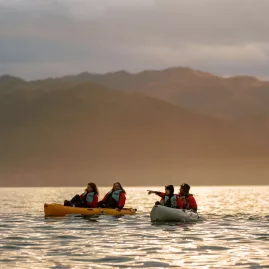 Kayakers pointing at wildlife during golden hour with mountains in the background