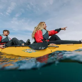 Couple kayaking in Kaikōura, pointing out towards wildlife in the distance