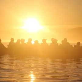 A group of kayakers silhouetted at golden hour on calm Kaikōura waters