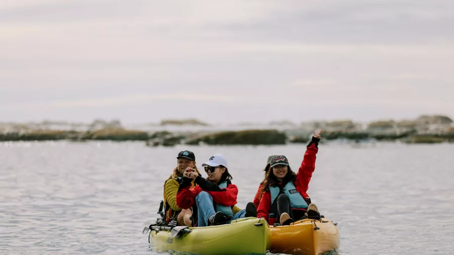 Three friends kayaking near the Kaikōura coastline, smiling and pointing toward wildlife