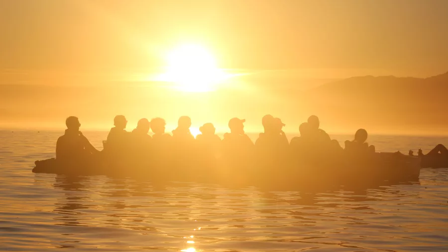 A group of kayakers silhouetted at golden hour on calm Kaikōura waters