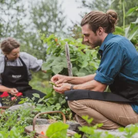 Chef and guest foraging in the Hapuku Kitchen garden near Kaikōura mountains