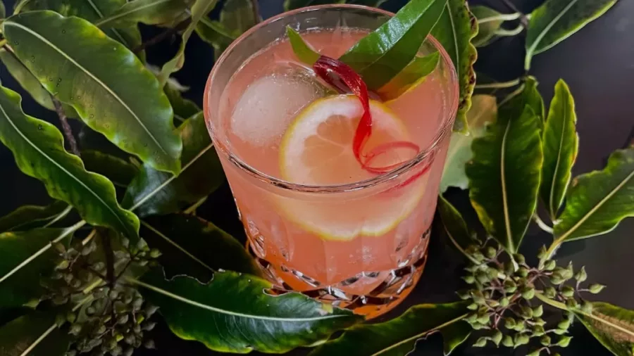 Seasonal foraged cocktail with lemon and native greenery at Hapuku Kitchen
