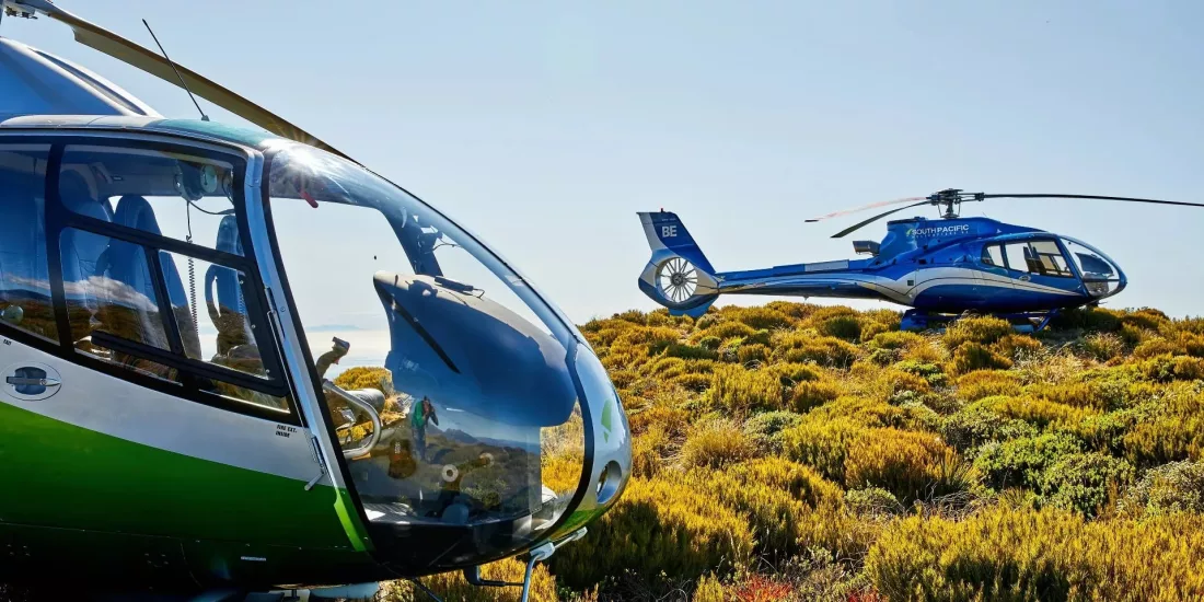 Green and blue helicopters parked together on alpine ridge during Ultimate Adventure tour