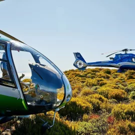 Green and blue helicopters parked together on alpine ridge during Ultimate Adventure tour