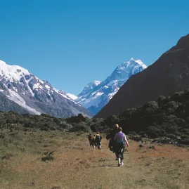 Hikers on the Hooker Valley Track in Aoraki/Mount Cook National Park