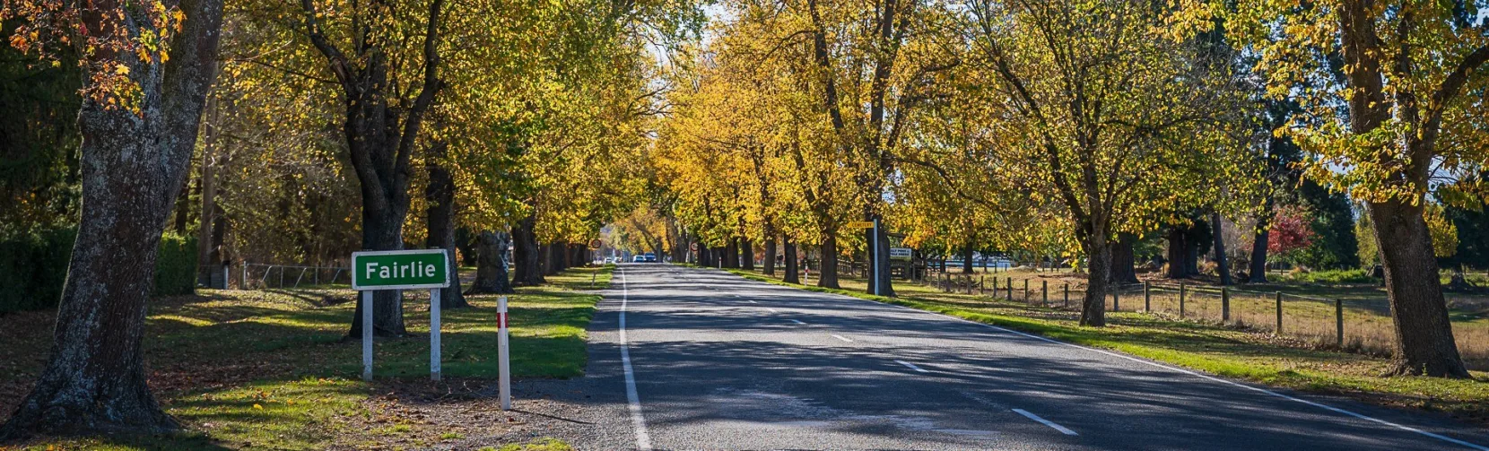 Tree-lined road into Fairlie in autumn