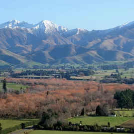 Four Peaks mountain range in Canterbury with patchwork farmland in the foreground