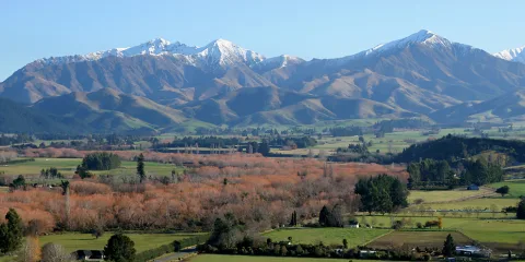 Four Peaks mountain range in Canterbury with patchwork farmland in the foreground