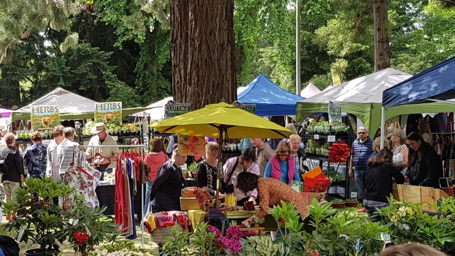 Crowds browsing stalls at Geraldine Arts and Plants Fete
