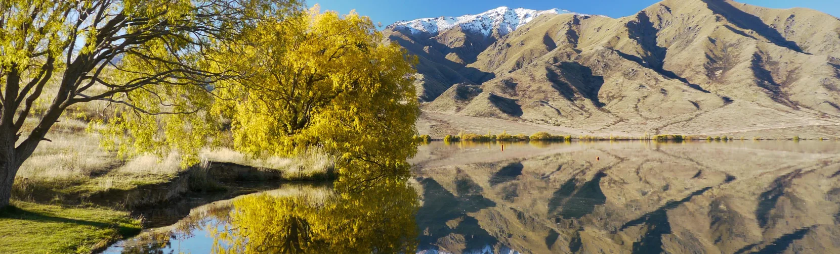 Autumn colours reflecting on Pumpkin Point at Lake Benmore, New Zealand