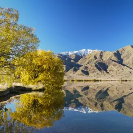 Autumn colours reflecting on Pumpkin Point at Lake Benmore, New Zealand