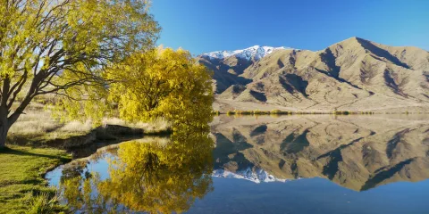 Autumn colours reflecting on Pumpkin Point at Lake Benmore, New Zealand