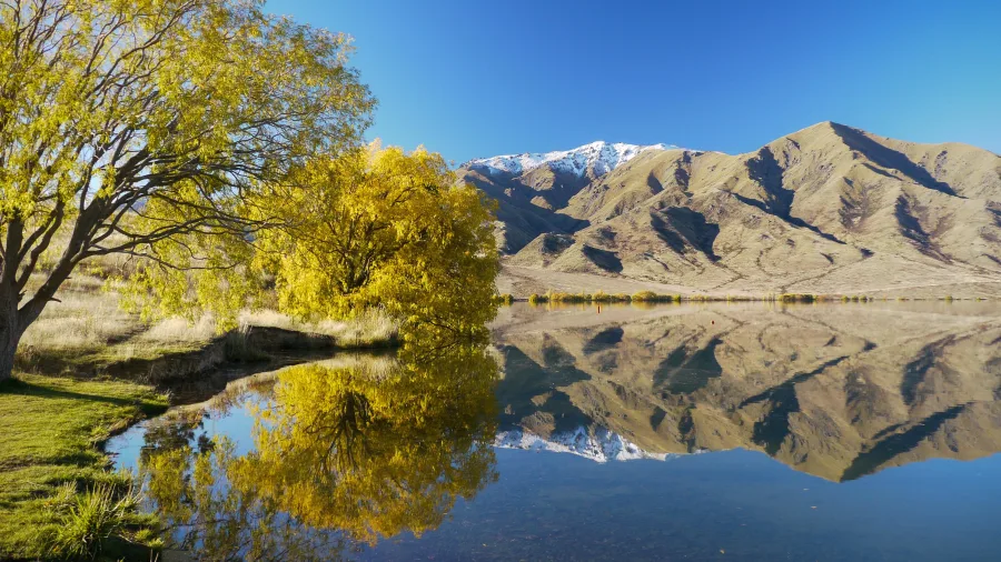 Autumn colours reflecting on Pumpkin Point at Lake Benmore, New Zealand