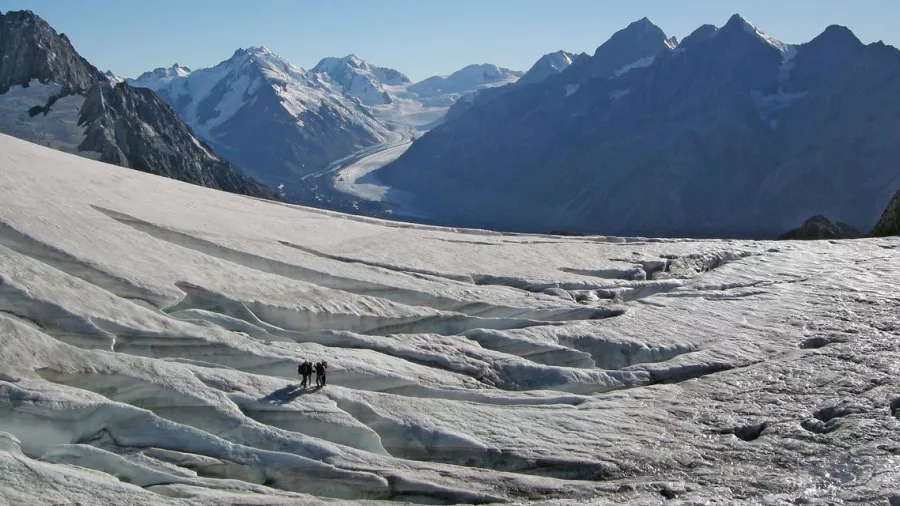 Small group navigating ice formations and crevasses on Ball Glacier.
