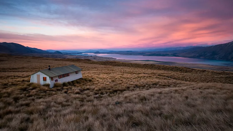 Rex Simpson Hut at dusk, overlooking Lake Tekapo and surrounded by golden tussock.
