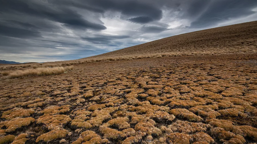 Tussock-covered ridgeline on Mount Gerald Station under dramatic skies during the Tekapo High Country Hike.