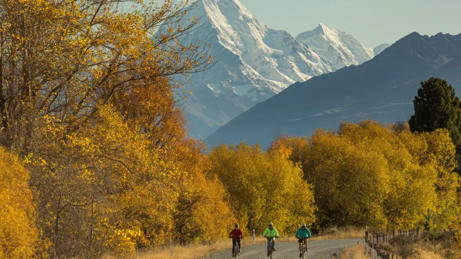 Cyclists riding through golden autumn foliage with Mt Cook in the distance on the Alps 2 Ocean Trail
