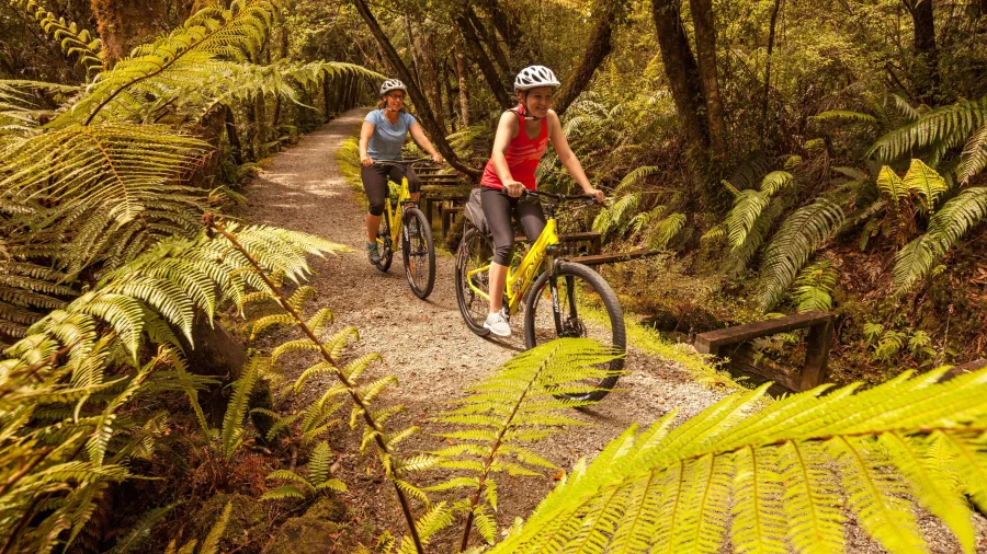 Two cyclists riding through dense native forest on the West Coast Wilderness Trail