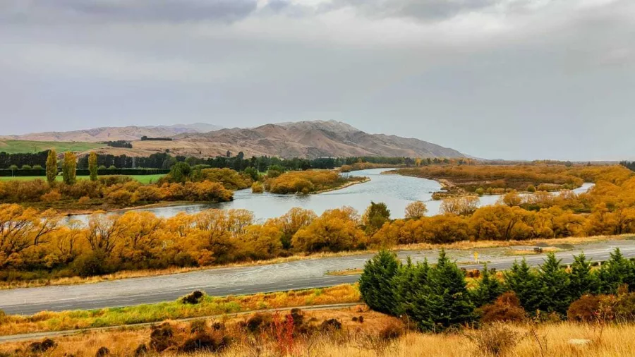Meandering Waitaki River surrounded by autumn foliage near the Alps 2 Ocean Cycle Trail