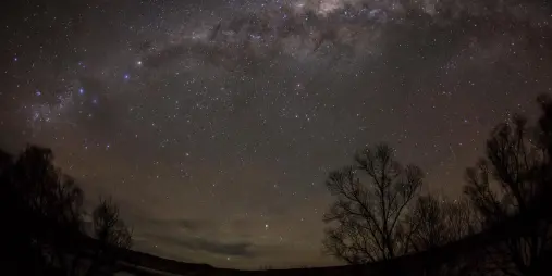 The Milky Way arching over a lake with silhouetted trees near Twizel