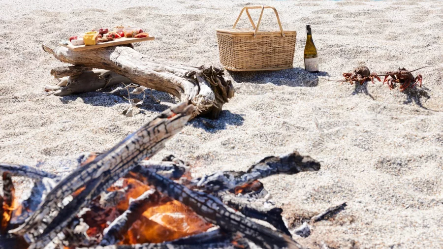 Beach picnic setup with lobster, wine, cheese platter, and bonfire overlooking the sea