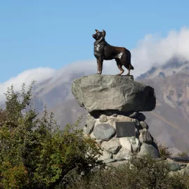 Sheepdog monument overlooking Lake Tekapo with mountains in background