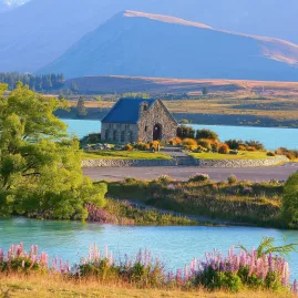 Church of the Good Shepherd overlooking Lake Tekapo, surrounded by purple lupins and mountain scenery