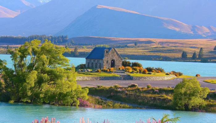 Church of the Good Shepherd overlooking Lake Tekapo, surrounded by purple lupins and mountain scenery