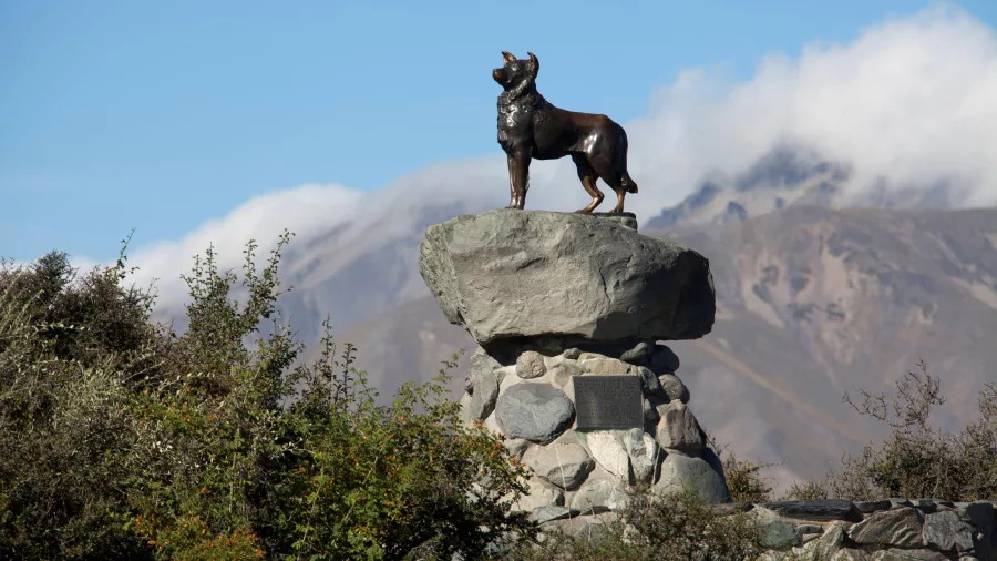 Sheepdog monument overlooking Lake Tekapo with mountains in background