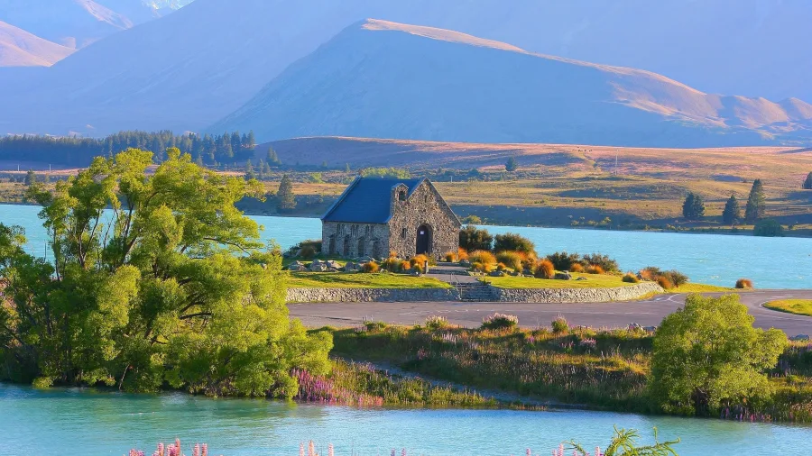 Church of the Good Shepherd overlooking Lake Tekapo, surrounded by purple lupins and mountain scenery