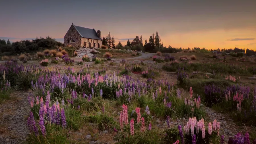 Lake Tekapo, Church of the Good Shepherd, sunset