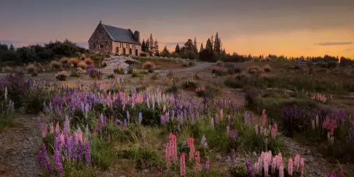 Lake Tekapo, Church of the Good Shepherd, sunset