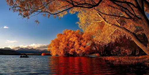 Golden autumn trees reflecting in Lake Tekapo waters
