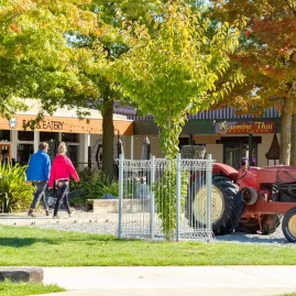 Twizel town centre with autumn colours and vintage tractor