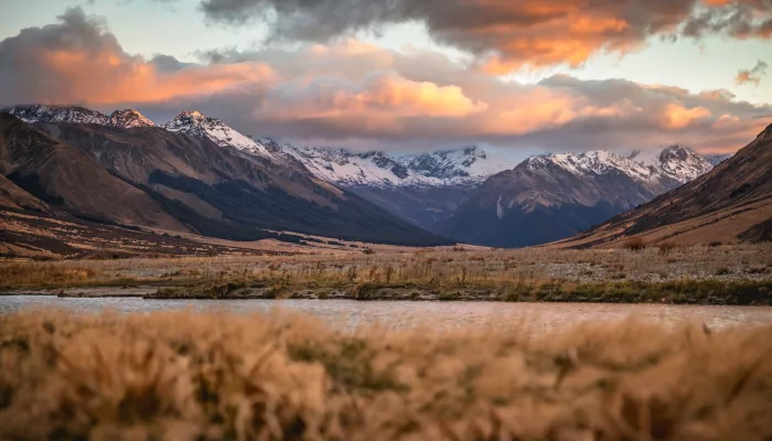 Golden tussock landscape and mountain backdrop at Lindis Pass during sunset.