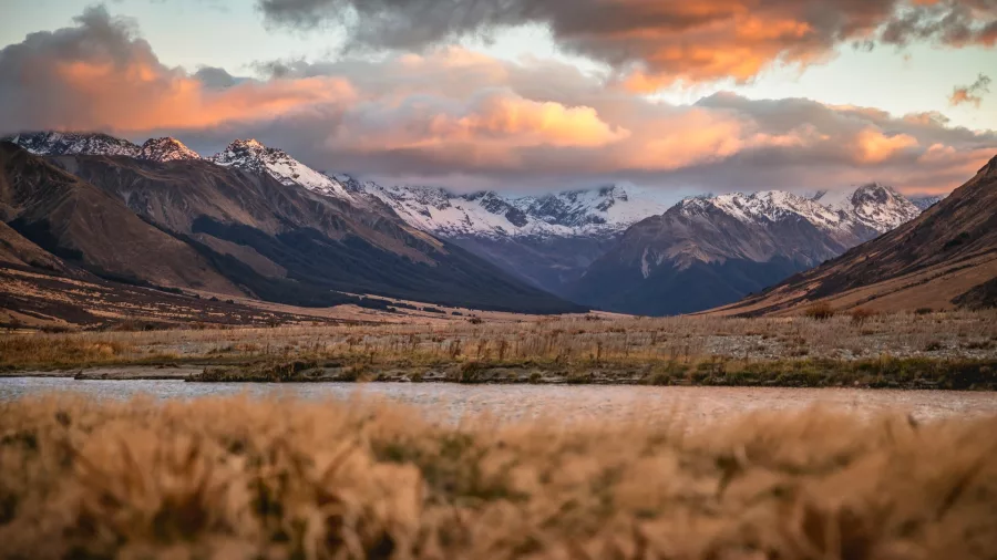 Golden tussock landscape and mountain backdrop at Lindis Pass during sunset.