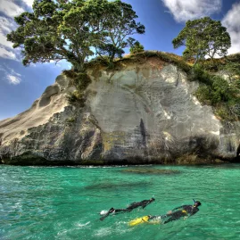 Snorkellers exploring the clear turquoise waters of Cathedral Cove Marine Reserve near the limestone arch and cliffs on the Coromandel Peninsula, New Zealand