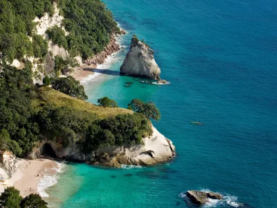 Aerial view of Cathedral Cove with turquoise water, white cliffs, and lush native forest on the Coromandel Peninsula, New Zealand