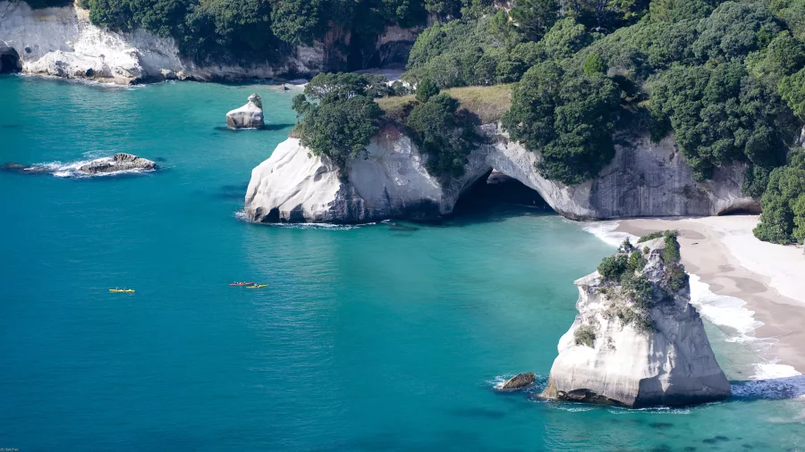 Aerial view of Cathedral Cove with kayakers paddling in turquoise waters near white limestone cliffs and sandy beach on the Coromandel Peninsula, New Zealand