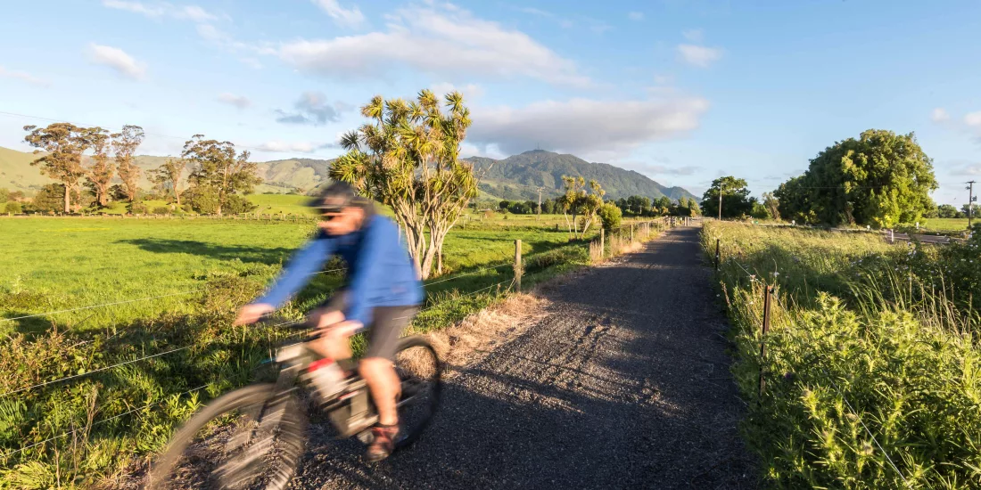 Cyclist on Hauraki Rail Trail near Paeroa