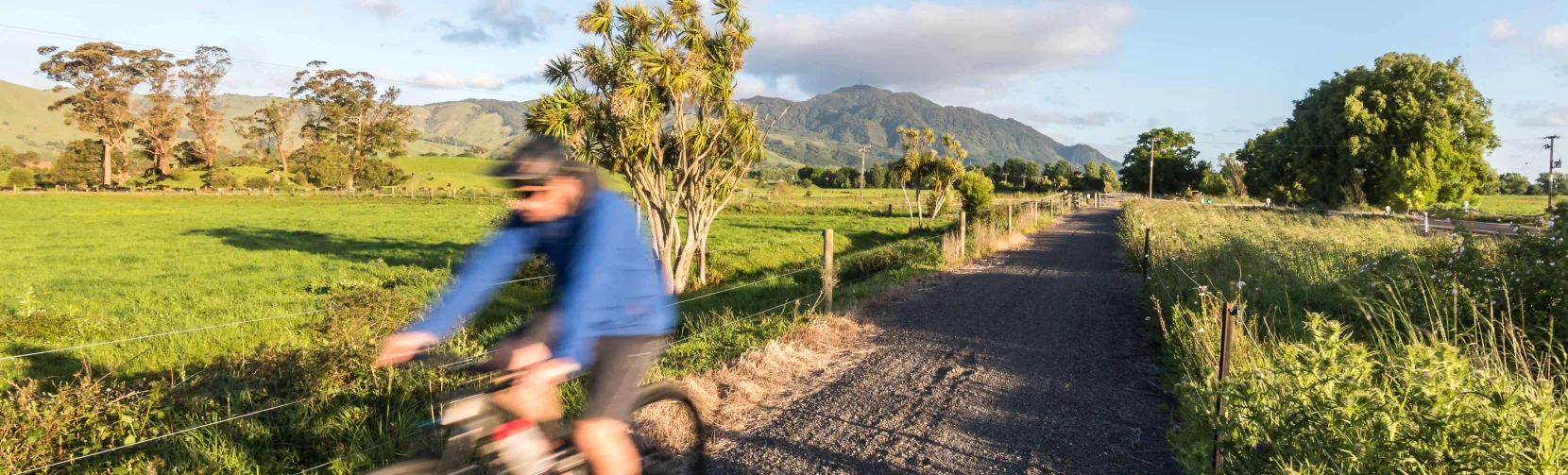 Cyclist on Hauraki Rail Trail near Paeroa