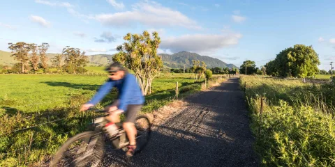 Cyclist on Hauraki Rail Trail near Paeroa