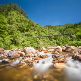 Suspension bridge over a rocky stream surrounded by lush forest in Karangahake Gorge