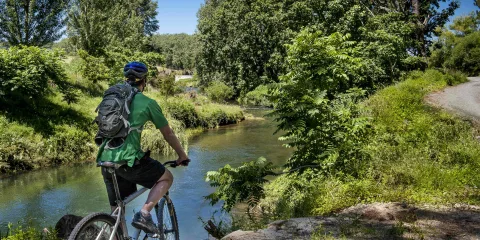 Cyclist on Hauraki Rail Trail near Karangahake Gorge