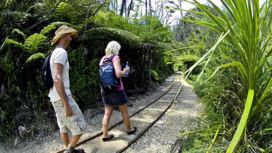 Hikers on Windows Walk in Karangahake Gorge