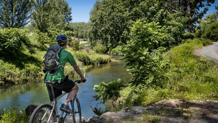 Cyclist on Hauraki Rail Trail near Karangahake Gorge