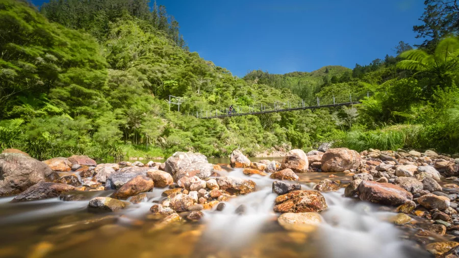 Suspension bridge over a rocky stream surrounded by lush forest in Karangahake Gorge