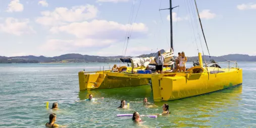 Group swimming off a yellow catamaran on a calm Coromandel day